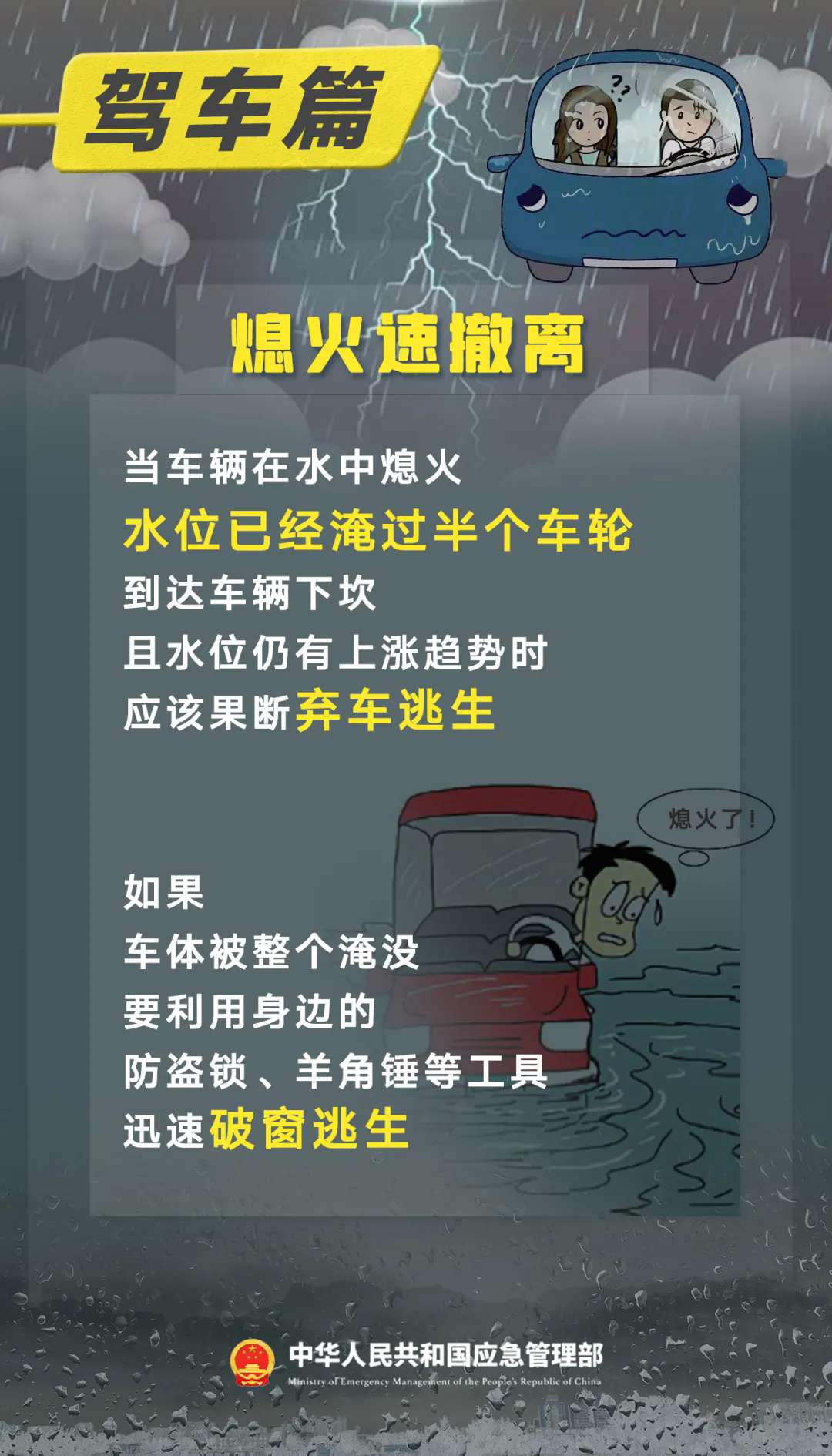 10.webp.png