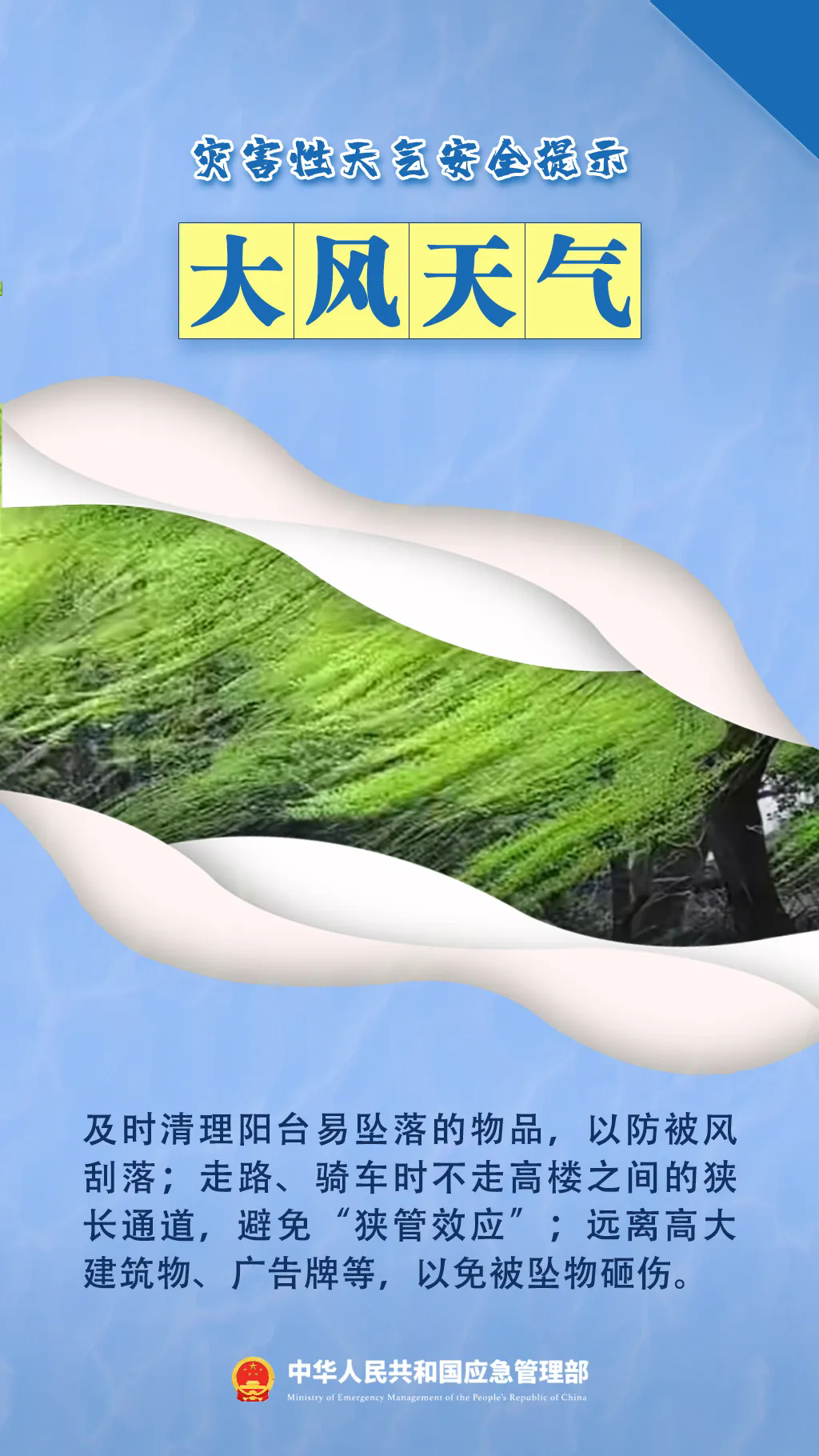 5.webp.png