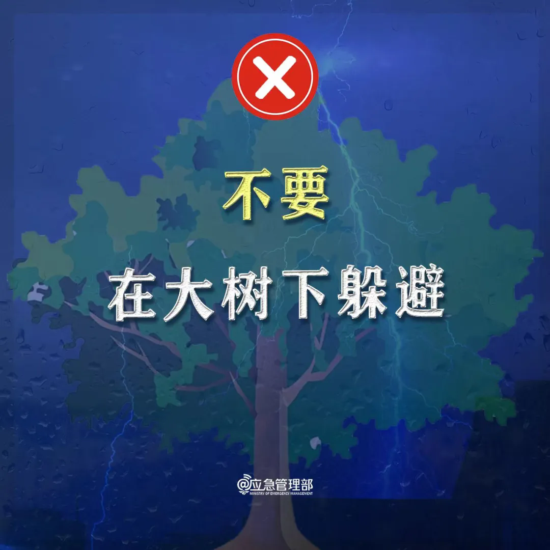 9.webp.png