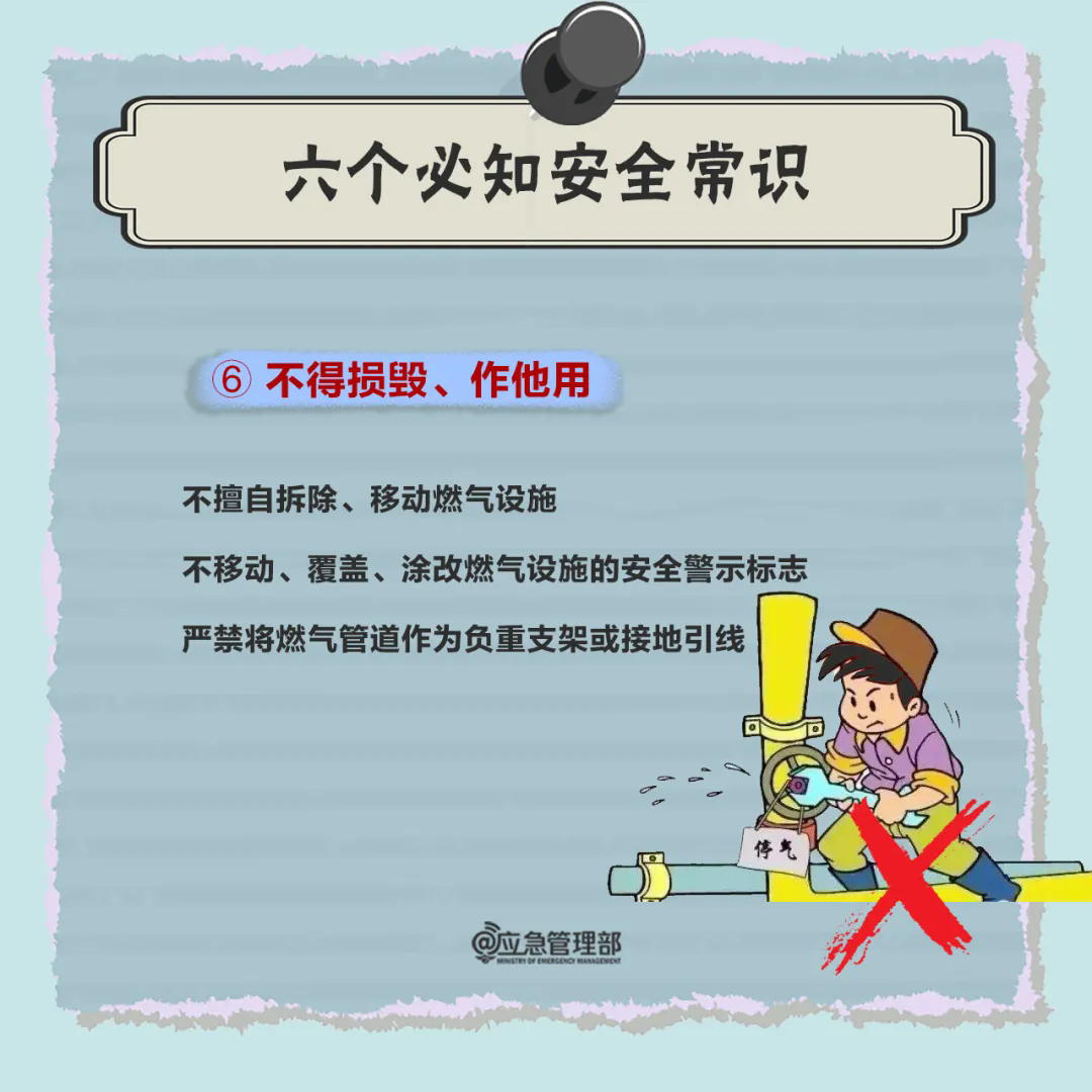 9.webp.png