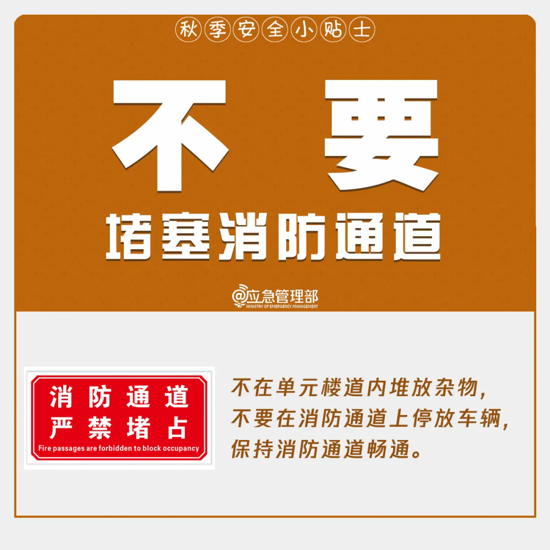 4.webp.png