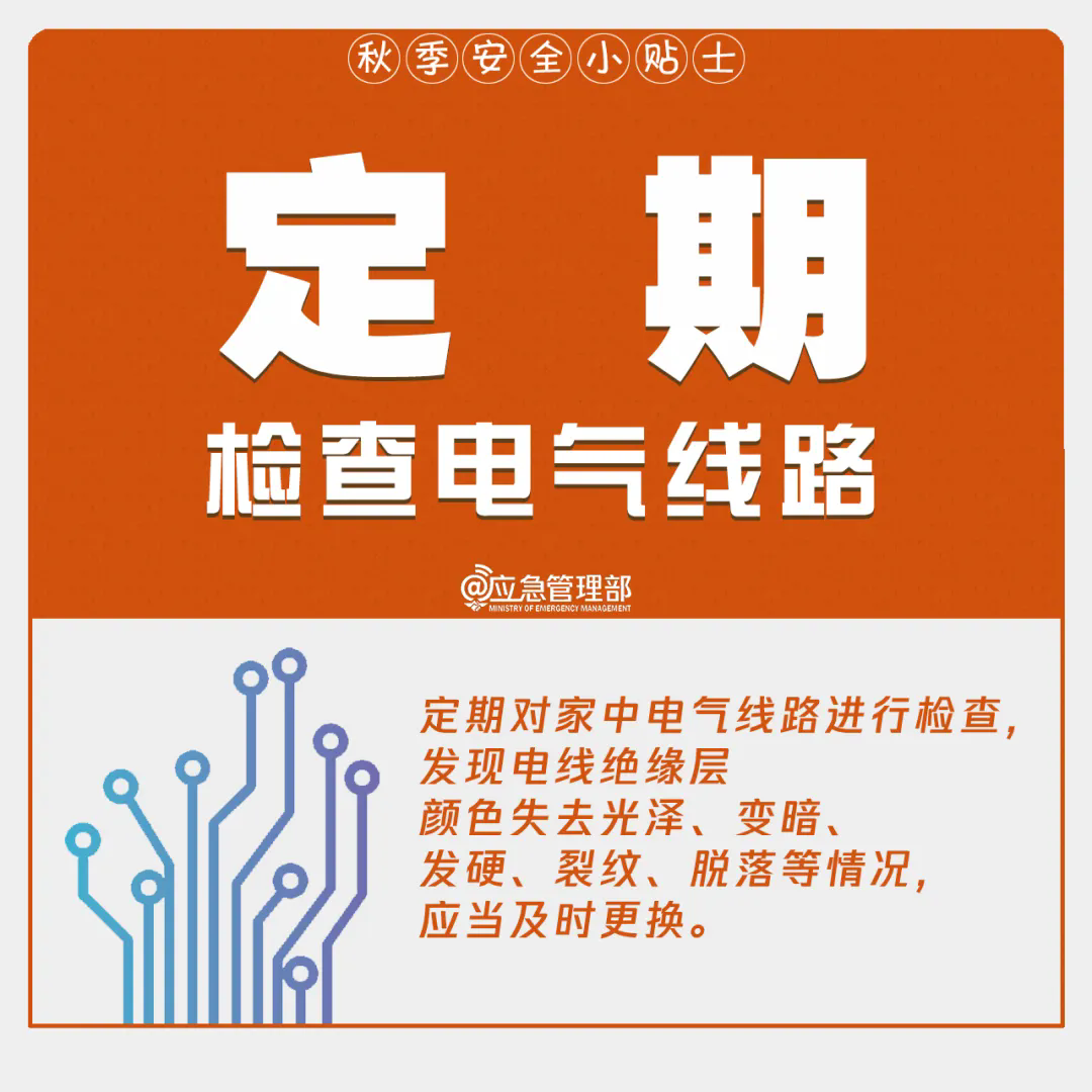 5.webp.png
