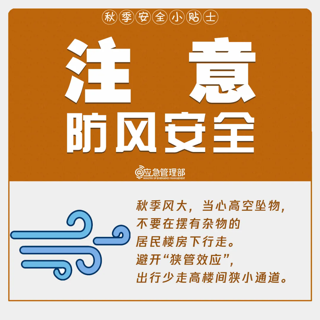 6.webp.png
