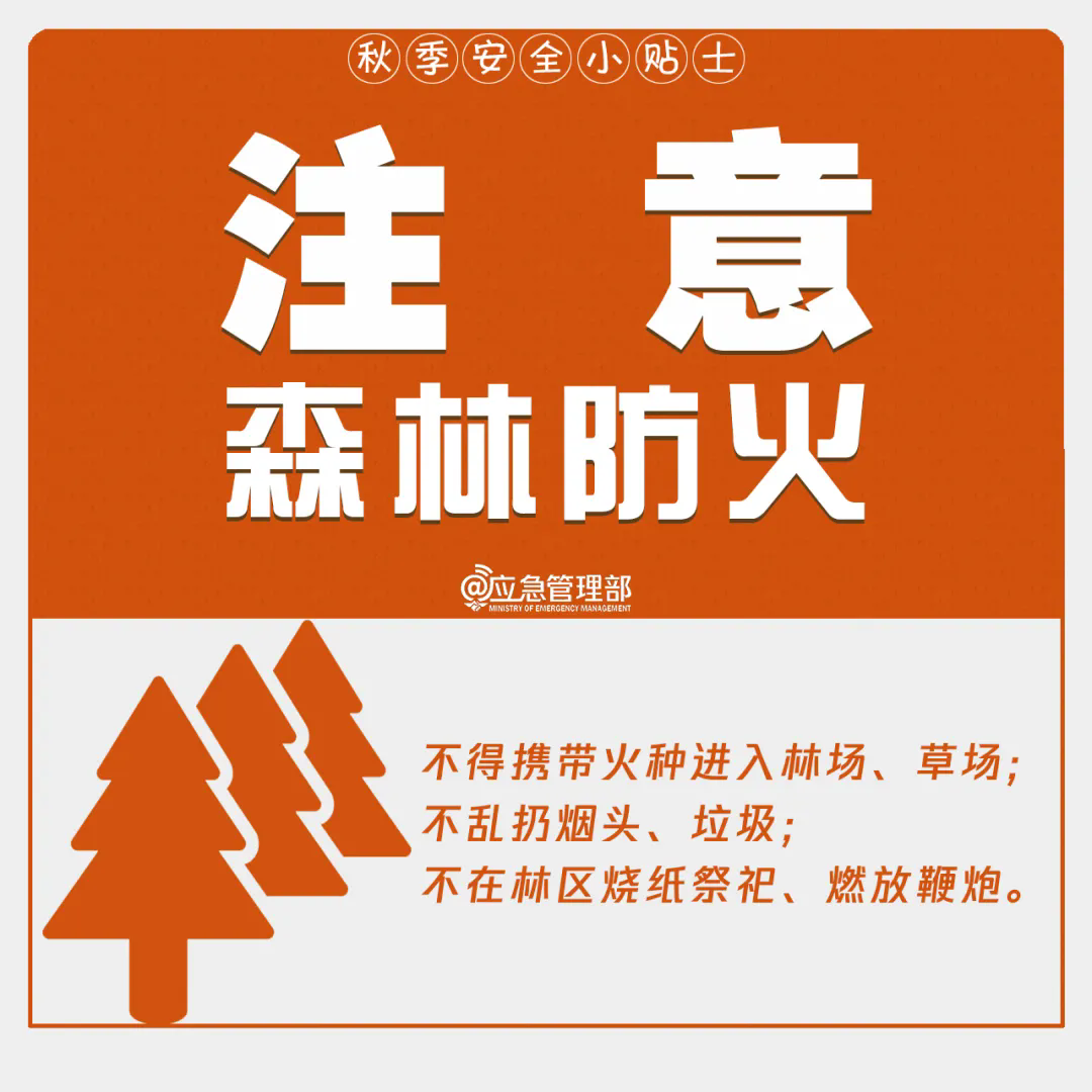 7.webp.png